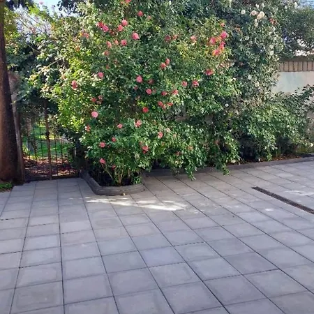 Affittacamere La Casa Delle Camelie Meta